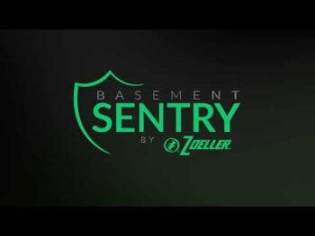 Basement Sentry by Zoeller image