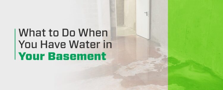 What to Do When You Have Water in Your Basement image